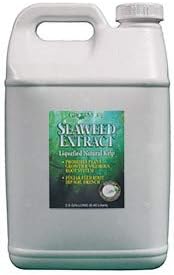 Grow More Seaweed Organic 11% 2.5 gal