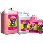 GH Flora Bloom Gallon