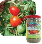 TomatoBlast Helps Your Plants Grow Bigger Faster and Stronger