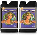 Advanced Nutrients Sensi Bloom A &amp B 1L &amp Big Bud 1L Bundle w/Card &amp Pipette
