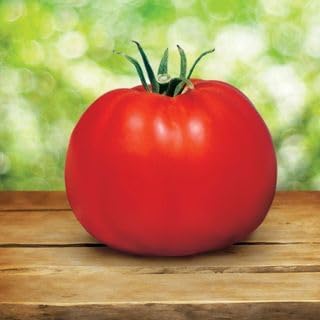 Park Seed Ultimate Garden Seed Collection – Non-GMO Heirloom Vegetable Herb &amp Flower Kit with 30 Premium Varieties for All Seasons – Raised Beds Plots &amp Containers Total of 4650 Seeds