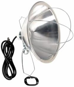 Brooder Light With 10-In. Reflector Shade 300-Watts