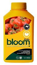 Bloom CAL 1L