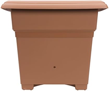 EarthBox 81755 Garden Kit White