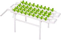 Hydroponics Growing System 1 Levels 36 Sites/Hydroponic Planting Vegetables Garden Tools with Water Pump Timer Nest Basket Growth Sponge for Vegetables Flowers Fruits