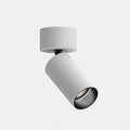 Spotlight White Hardwired SpotlightsAdjustable Directio l Accent Spotlights 10w Exposed Mounted Light for Living Room Artwork Display Lamps
