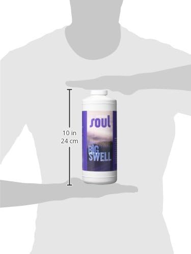 Roots Organics Soul Big Swell Liquid Fertilizer for Hydroponics and Soil 2-5-3 1 Quart (ROSSBSQ)