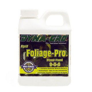 Foliage - Pro 1 Gal