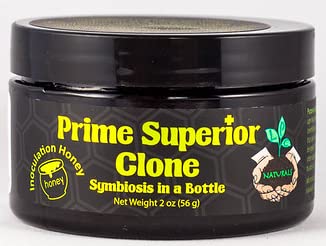 Honey. Cloning Gel inoculant with Beneficial Fungus for Plants Throughout Their Life. Safe for Pets and Family. Proprietary Strain colonizes Whole Plant.