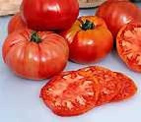 Tomato Prudens Purple 1000 Seeds