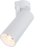 Spotlight Led Flush Mount Spotlamp Directio l Downlight Indoor Spotlights for Living Room Gallery Picture Panting Accent Lighting
