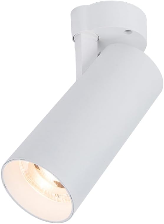 Spotlight Led Flush Mount Spotlamp Directio l Downlight Indoor Spotlights for Living Room Gallery Picture Panting Accent Lighting