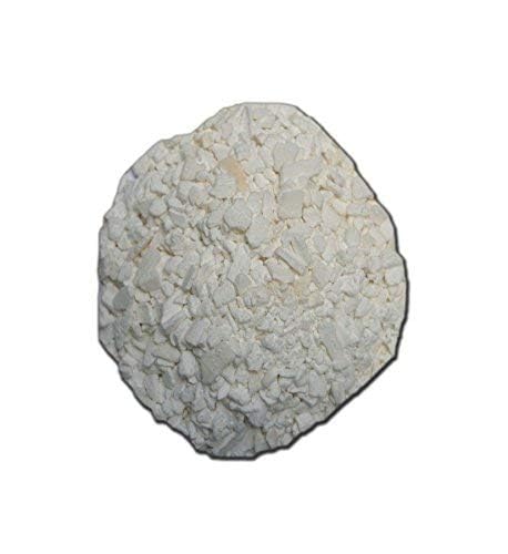 TrueNute Calcium Chloride 16 Ounces for Calcium Deficiency in All Plants Will Stop Blossum End Rot Leaf Tip Burn Deformed New Shoots and Leaf Tips and Distorted and Or Curl at Leaf Tips