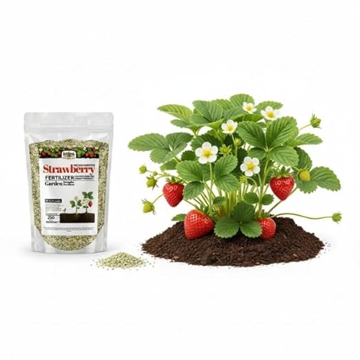 Old Cobblers Farm™ Wicked Growth Strawberry Fertilizer with Micronutrients-Enhances Soil Health &amp Berry Yield - Slow-Release Nutrients for Robust Growth-for Home Gardens (5/10/15/20lbs) (15 lbs)