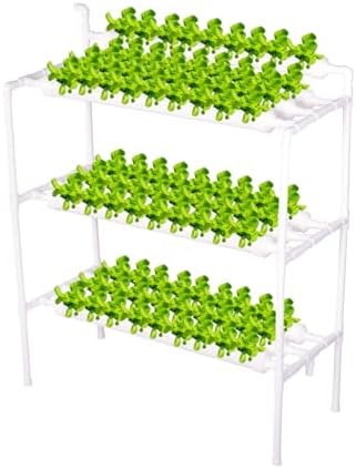 Hydroponics Growing System 1 Levels 36 Sites/Hydroponic Planting Vegetables Garden Tools with Water Pump Timer Nest Basket Growth Sponge for Vegetables Flowers Fruits