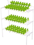 Hydroponics Growing System 1 Levels 36 Sites/Hydroponic Planting Vegetables Garden Tools with Water Pump Timer Nest Basket Growth Sponge for Vegetables Flowers Fruits