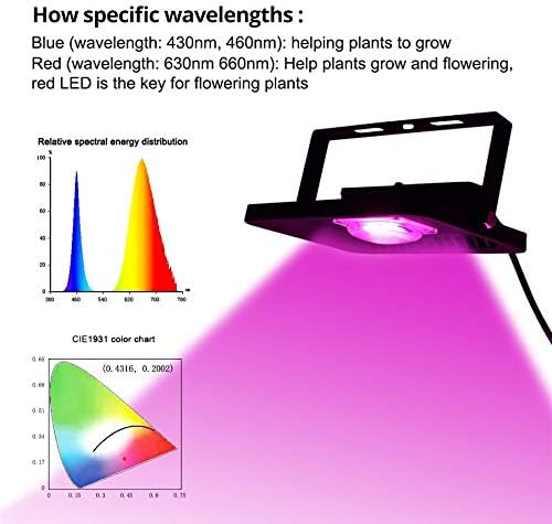 Lights 1pc LED Grow Light Plant Light LED COB Full Spectrum 150W 100W 50W 30W COB Growth Flood Light for Plant Flower Vegetable Phyto Lamp (Color : AC 110V Size : 30W)