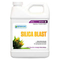 BLAST 1QT_AB