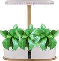 Grow Mini Desktop LED Grow Light Hydroponic Planter - Home Soil-Free Indoor Vegetable/Strawberry Growing System