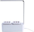 Indoor Hydroponic Garden with LED Grow Light &amp Auto Watering Smart Soilless Planter for Herbs Veggies &amp Flowers
