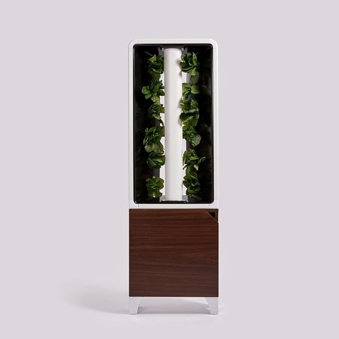 Just Vertical EVE Tower Garden | Hydroponic Growing System | Grow 12 Fresh Herbs &amp Vegetables Year-Round | Self-Watering Energy-Efficient LED Compact Design Fully Assembled | Walnut