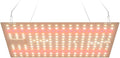 200W LED Full Spectrum Plant Light 110V Succulent Potting Planting Lights AC100-277V Sunlight Hydroponic Seeds Fill Lamp UV/IR 2 Modes Greenhouse Tent Flowers Fruits Vegetable Moss Cactus Cultivation