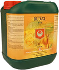 Bud XL (5 Litre)