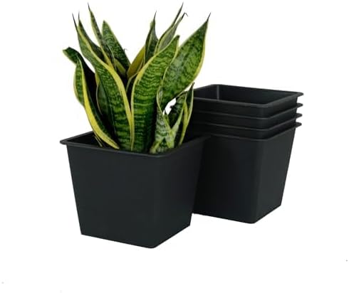 6.3 Square Plant Pot GPlastic Pots with Drainage (5 Pack)