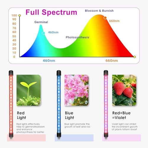 2 Heads LED Grow Lights for Indoor Plants Adjustable Clip-On Plant Lamp with Timer (3/9/12H) 3 Light Modes Flexible Gooseneck for Optimal Growth