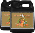 Fertilizer Advanced Nutrients Sensi Coco Bloom AB - 4L