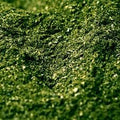 Concentrates Inc Organic Alfalfa Meal Fertilizer 2.5-0-2.5 5 lb