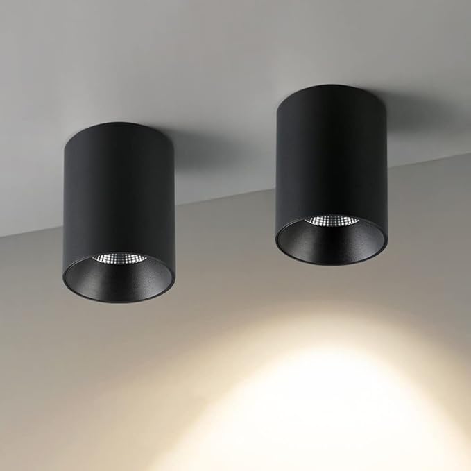 Led Mounted Spotlight 2 Packs Ceiling Downlight Cylindrical Hallway Lamp Adjustable Directio l Accent Spot Lighting Corridor Gallery Spotlights