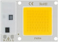 Landscape Lights LED COB Lamp Chip 10W 20W 30W 40W 50W AC 220V Smart IC LED Beads DIY for LED Floodlight Spotlight Cold White Warm White LED Street Lamp (Color : Warm White Size : 10W)