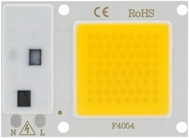 Landscape Lights LED COB Lamp Chip 10W 20W 30W 40W 50W AC 220V Smart IC LED Beads DIY for LED Floodlight Spotlight Cold White Warm White LED Street Lamp (Color : Warm White Size : 10W)