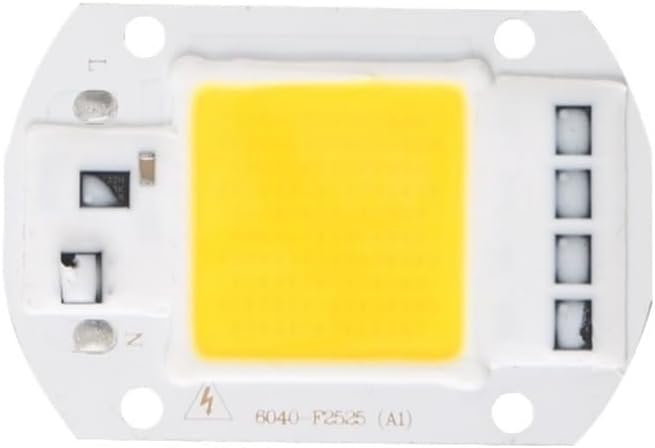 Landscape Lights LED COB Lamp Chip 10W 20W 30W 40W 50W AC 220V Smart IC LED Beads DIY for LED Floodlight Spotlight Cold White Warm White LED Street Lamp (Color : Cold White Size : 50W)