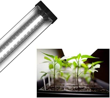 AquaSprouts 2ft Horticultural LED Grow Light Bar 24W High Output White Full Spectrum 6400K for Indoor Gardening Bioactive Terrariums &amp Vivarium/Paludariums