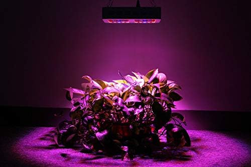 4pcs 600w Super Bright LED Indoor Garden Greenhouse Plant Growing Light Full Spectrum UV IR Double Chip LED Grow Light LED Plant Grow Light for Flower Vegetable (4pcs 600w)