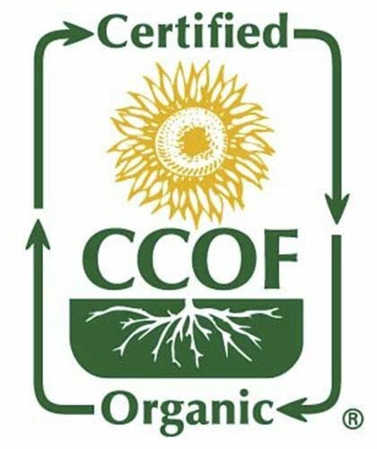 McCabe Organic Roasted Pumpkin Seeds (Unsalted) - Organic Pumpkin Seeds Roasted 8oz (Pack of 3) | Rich with Fiber &amp Minerals | USDA and CCOF Certified | Packed in USA