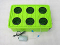 GOWE DWC Hydroponics system with big reservior with 6 site of basket cup