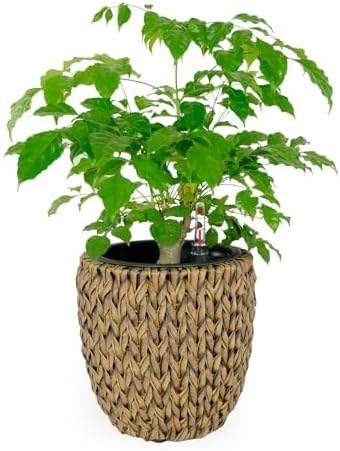 Generic 14.6 Self Watering Wicker Planter Garden Decoration Pot Dark Brown Round