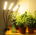 LED Grow Lights for Indoor Plants [ ] Full Spectrum Grow Light 8 in1 Auto On/Off Timing 4/8/12H Plant Lights for Indoor Growing