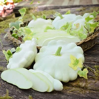 Eden Brothers Squash (Summer) Seeds - Scallop Scallop Early White Bush Non-GMO Seeds for Planting 1/4 lb | Low-Maintenance Vegetable Seeds Plant During Warm Season Zones 10 3 4 5 6 7 8 9