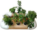Mini Hydroponic Kit Garden Wood Style Ultra-Compact 7 Plant with Nutrient and Plant Seeds