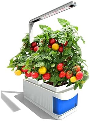 Desk Lamp Hydroponic Indoor Herb Garden Kit Smart Multi-Function Growing Led Lamp for Flower Vegetable Plant Growth LightLamp with us Plug