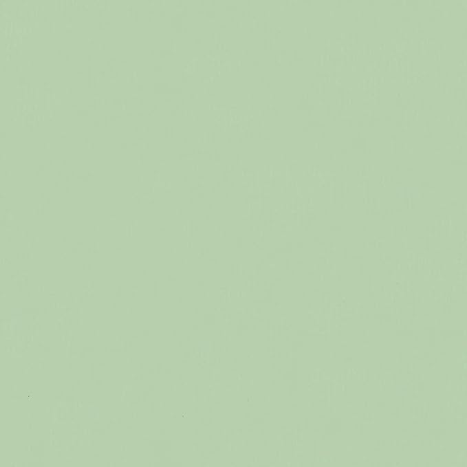 Steel Raised Garden Bed for Gardening Metal Planter Box for Vegetables Fruits Flowers 62.99 x 15.75 x 17.72 in Green-614