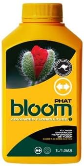 Yellow Bottles Phat Bloom liter