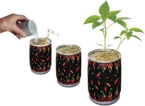Red Scotch Bonnet Pepper Grow Kit by Magic Plant - 3 Kits - Caribbean Classic Chili 100K - 350K SHUs - DIY Easy with Heirloom Non-GMO Seeds Indoor/Outdoor or Gift