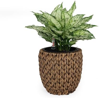 Generic 10.6 Self Watering Wicker Planter Garden Decoration Pot Dark Brown Round
