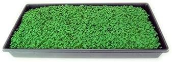 Chia Sprouting Seeds: 5 Lb - Non-GMO Black Chia Seeds for Growing Microgreens Sprouting Growing Micro Chia Greens