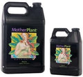 Mother Plant B - 1qt.